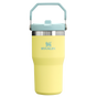 Visuel pour Stanley 1913 IceFlow™ Flip Straw 2.0 Tumbler 0.59L dans Pomelo | Recto Afficher
