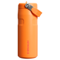 Farbmuster für Stanley 1913 IceFlow™ Bottle Flip Straw 2.0 0.47L in Goldenrod Coral | Vorderseite Anzeigen