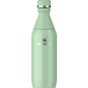 Visuel pour Stanley 1913 All Day Slim Bottle 0.35L dans Pistachio Gloss
