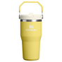 Visuel pour Stanley 1913 IceFlow™ Flip Straw 2.0 Tumbler 0.59L dans Daffodil | Recto Afficher